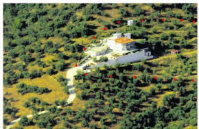 GEORGE'S VILLA